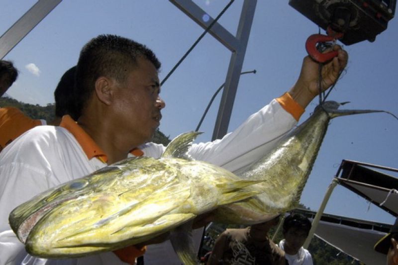 5 hal yang harus diperhatikan ketika mancing di laut