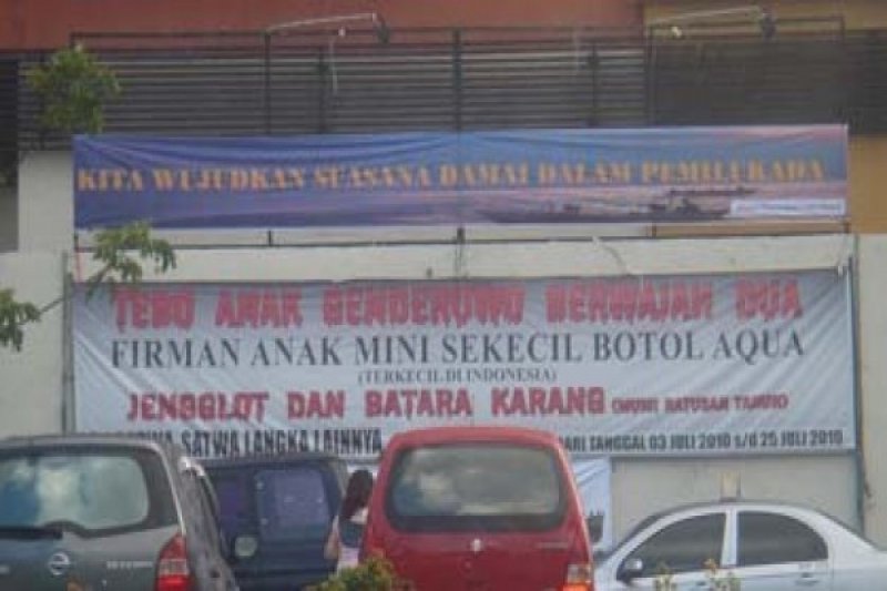 Seruan Damai