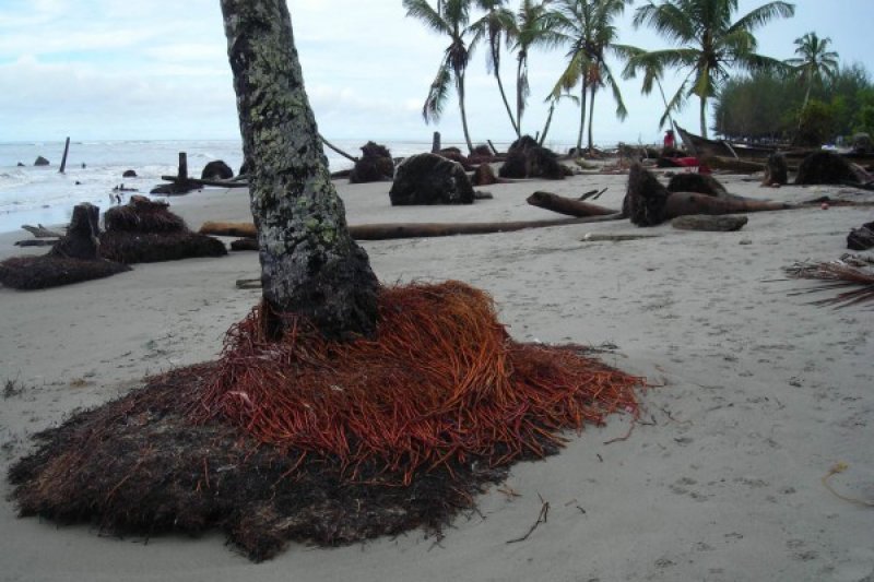 Bunyi Kentongan Selamatkan Warga Sekampung Dari Tsunami Antara