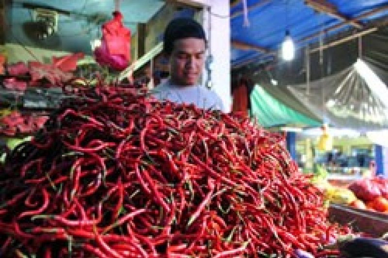 Kenaikan harga cabai picu inflasi di Kepri