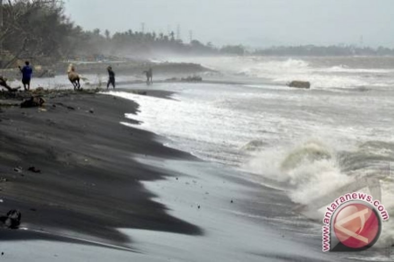 Gelombang tinggi hantam kawasan sabuk hijau Bogowonto