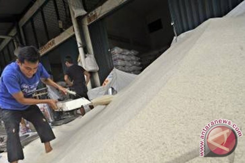 Harga Beras Di Palolo Naik