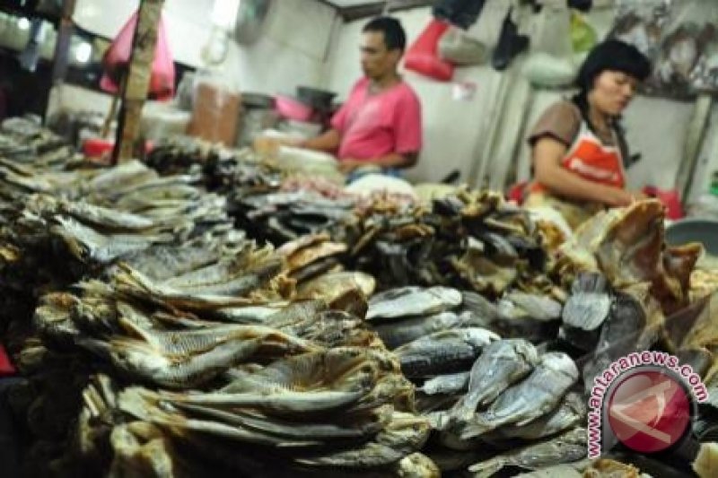 Harga Ikan Kering Rp120 Ribu Antara News Kalimantan Selatan