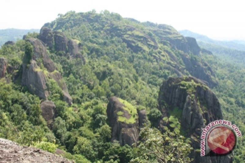 Disbudpar Kembangakan Wisata Alam Gunung Kidul Antara News Disbudpar Kembangakan Wisata Alam Gunung Kidul Antara News