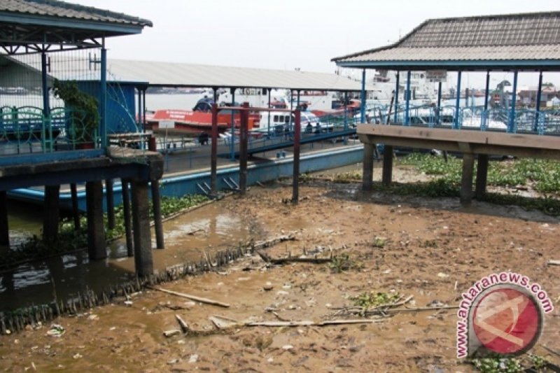Aburizal Bakrie bantu bangun dermaga PPI Lampung