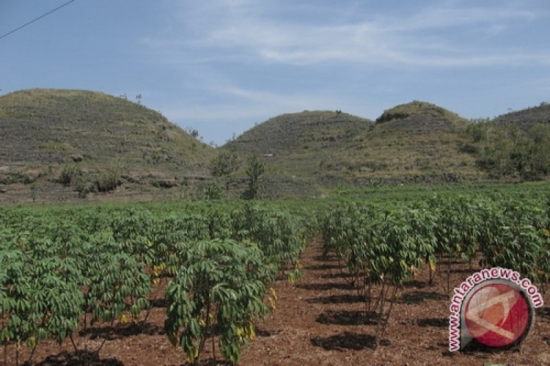 Program Gunung Kidul Tingkatkan Kunjungan Taman Batu Mulo