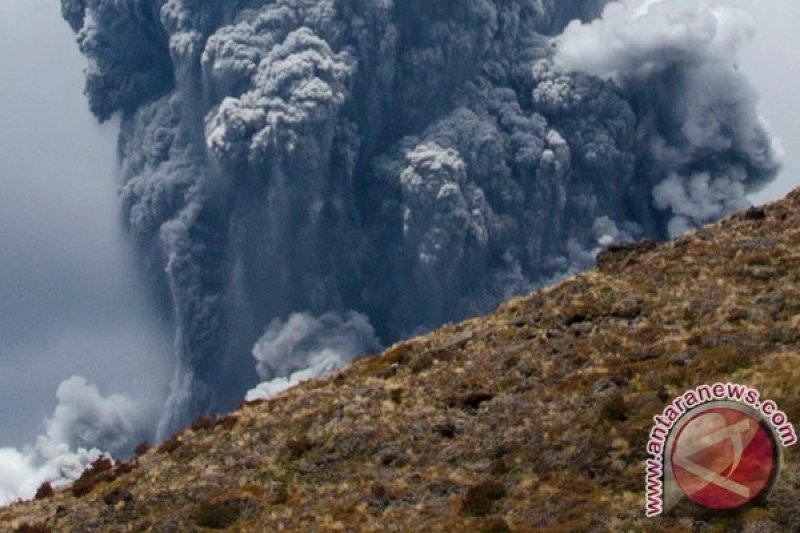 Gunung berapi White Island di Selandia Baru meletus