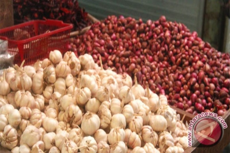 Cegah kanker kolorektal dengan bawang merah dan putih