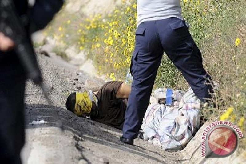 10 Tewas Dalam Perang Narkoba di Mexico