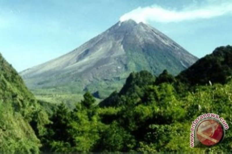Pascaerupsi penghijauan lereng Merapi baru 90 hektare