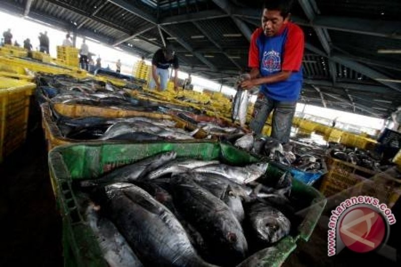 Dispertanak Anjurkan Masyarakat Konsumsi Ikan