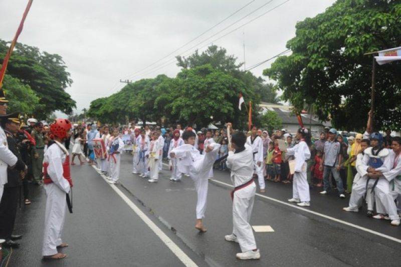 Atlet Taekwondo