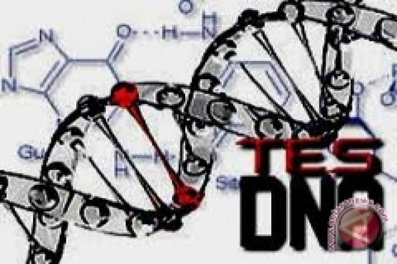 jenis-dan-fungsi-tes-dna