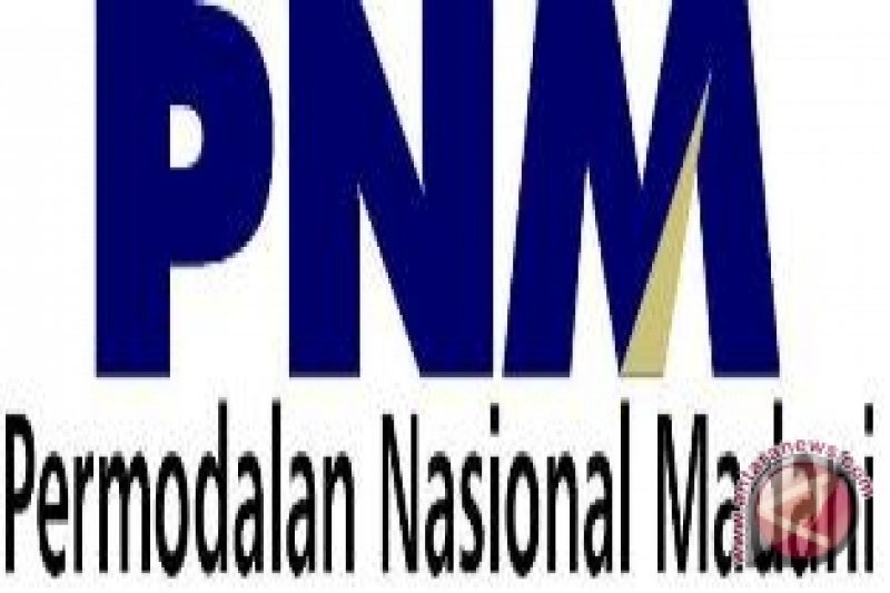 urgensi-transformasi-pnm-menjadi-bank-khusus-umkm