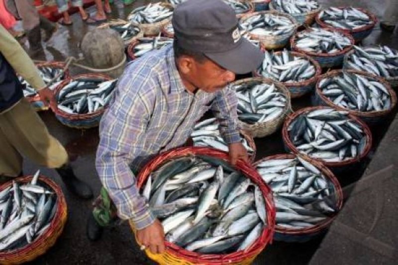 DIY gencarkan kampanye gemarikan tingkatkan konsumi ikan
