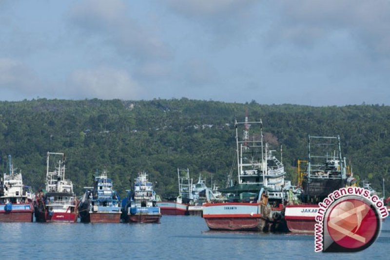 ini-kata-imo-watch-terkait-pemakaian-kapal-asing