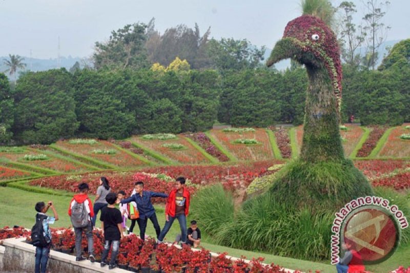 32 Gambar Wisata Taman  Bunga  Nusantara  Galeri Bunga  HD