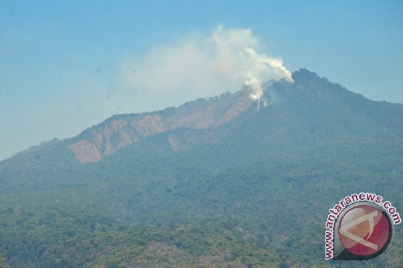 KEBAKARAN HUTAN RINJANI