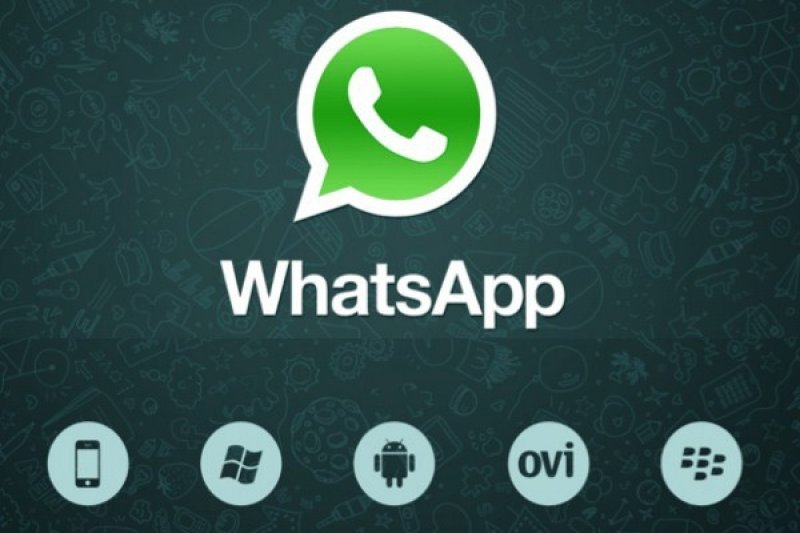 Balas WhatsApp Kini Dapat Gunakan Quick Reply
