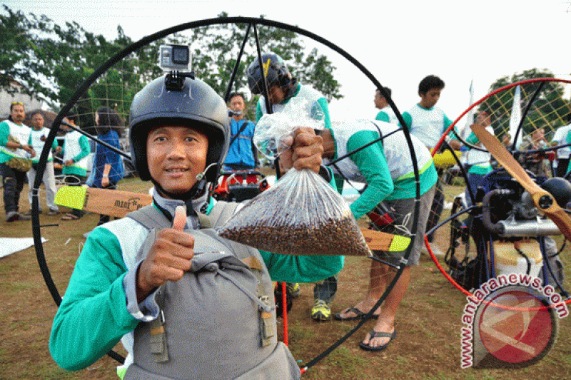 cara-konsumsi-dan-7-manfaat-biji-mahoni-untuk-kesehatan