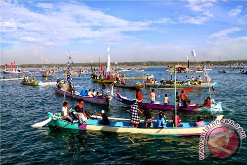 Gambar Mewarnai Hewan Laut Rapat - Mewarnai Gambar