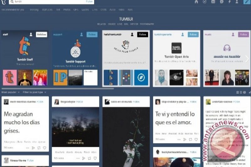 Ministry finds 360 Tumblr accounts to contain pornography - ANTARA News