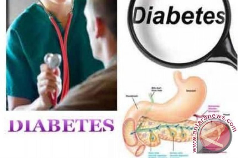  Apakah  Penderita  Diabetes  Bisa  Gemuk Kembali Diabetes  Poster