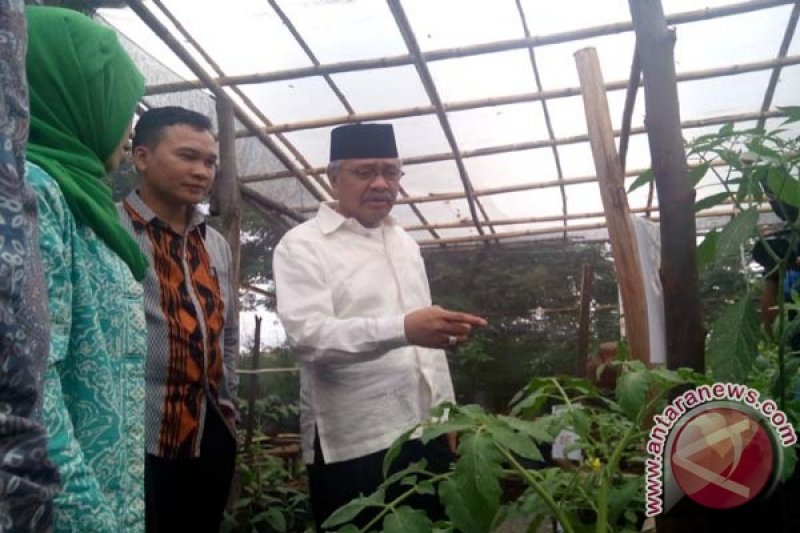 Yayasan Wakaf Antam Kembangkan Tanaman Hydroponik