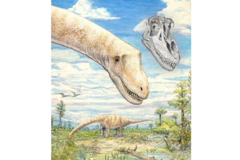 101+ Gambar Tengkorak Dinosaurus 