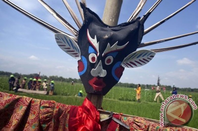 Kampung Flory gelar lomba "memedi sawah"