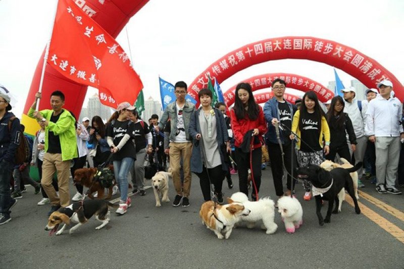 Festival daging anjing di China tetap diselenggarakan