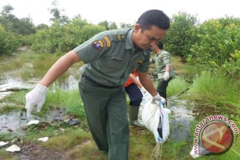 BKSDA Telusuri Sindikat Penyelundupan Trenggiling Di Kotim