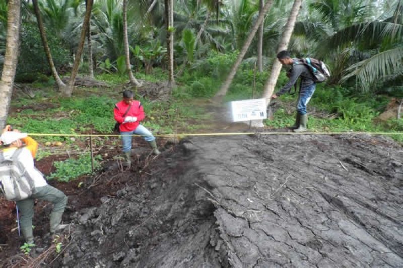 Dinas Perkebunan Inhil Bangun 233,5 KM Tanggul