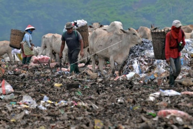 TPA Jatibarang Bakal Dimanfaatkan untuk PLTSa