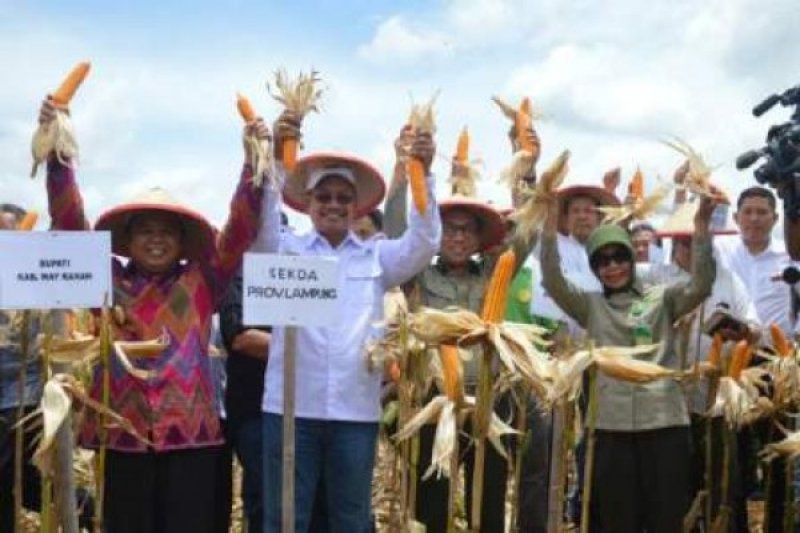 ipb-kawasan-hutan-bisa-dimanfaatkan-untuk-pengembangan-pangan