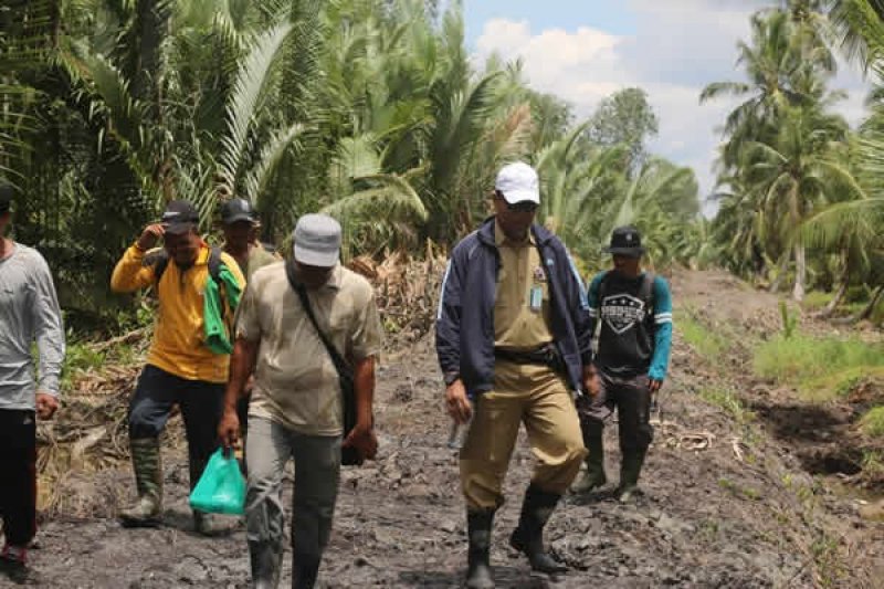 Kadisbun Inhil Tinjau Proses Pembangunan Tanggul Di Tekulai Hilir