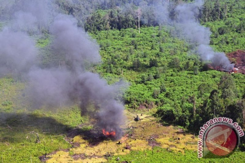 Tersangka Karhutla Riau Bertambah jadi 95 Orang