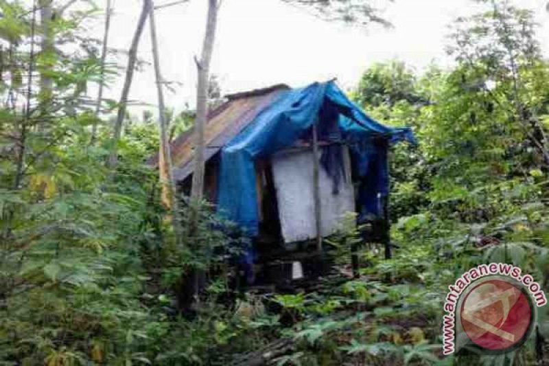 Ayo Dinas Sosial Cepat Bantu Tarzan Bahaur