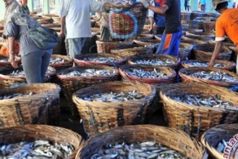 Promosi Wisata, Pemkab Banyuwangi Gelar Tradisi Petik Laut Muncar