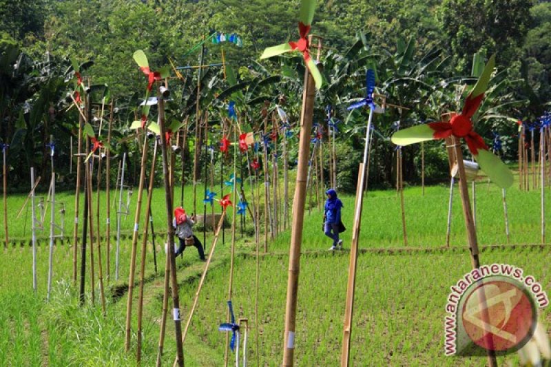 Festival Sewu Kitiran 