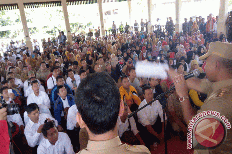 Sebanyak 382 guru kontrak ikuti uji kompetensi
