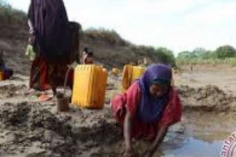 Dua pekerja kemanusiaan dibunuh penyerang di Ethiopia barat