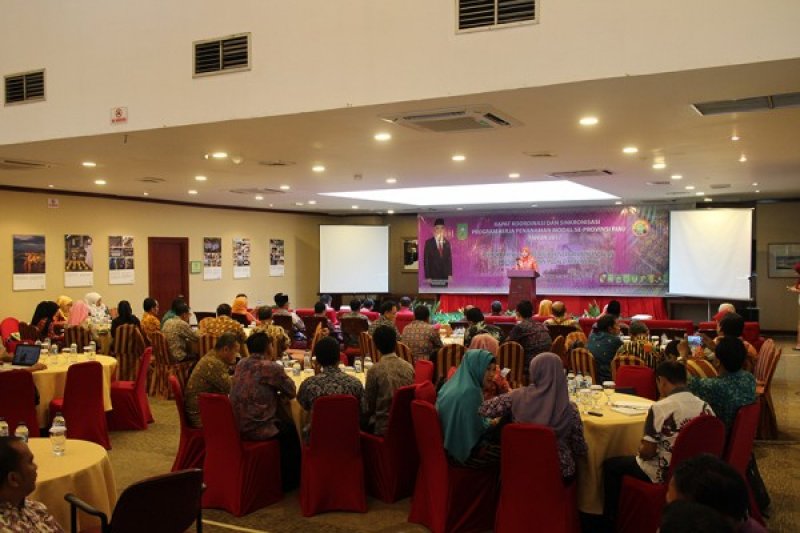 Rapat Koordinasi dan Singkronisasi Program Kerja Penanaman Modal Se- Provinsi Riau