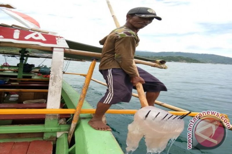 Pesawaran targetkan destinasi wisata unggulan Lampung