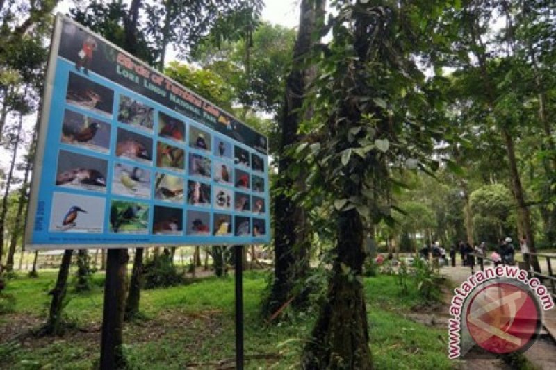 Wisatawan Mancanegara Paling Suka Amati Burung Antara News Palu
