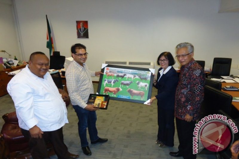 Indonesia jajaki kerjasama dengan Suriname di bidang peternakan