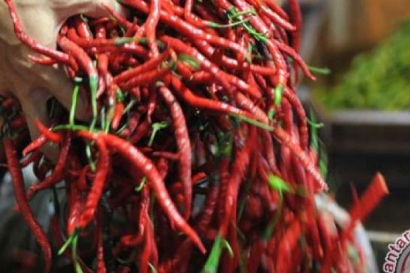 Upayakan Stabilitas Harga, Bulog Jual Cabai Keriting Rp14 Ribu/Kg