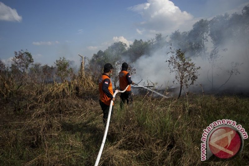 Kebakaran Lahan Di Pemulutan