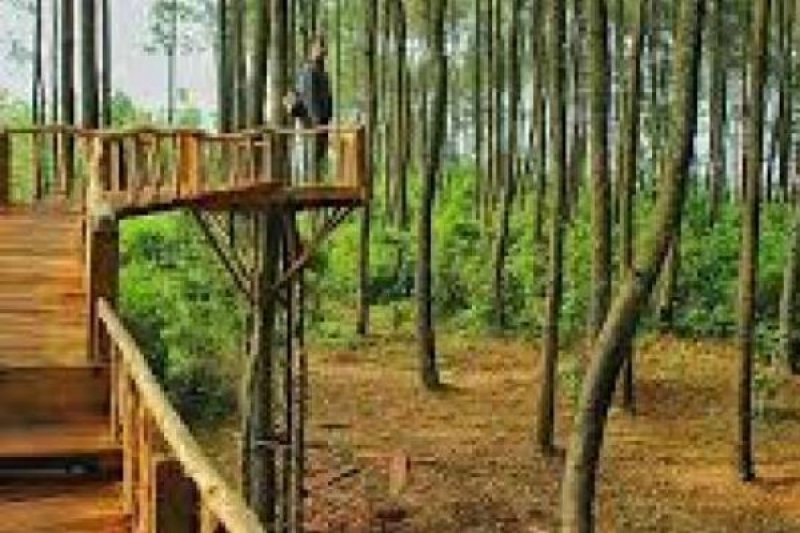 7-wisata-hidden-gem-di-jogja-yang-wajib-anda-kunjungi