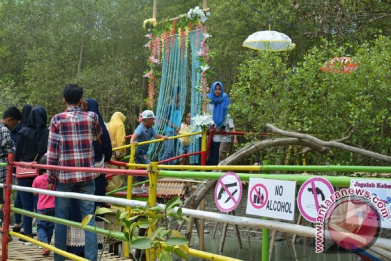 Menikmati Wisata Hutan Mangrove Lampung Timur Antara News